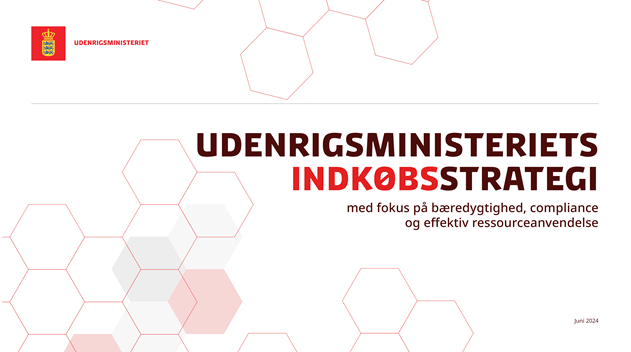 Udenrigsministeriets indkøbsstrategi (dansk version)