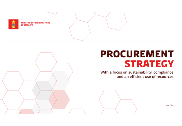 Procurement strategy (English version)