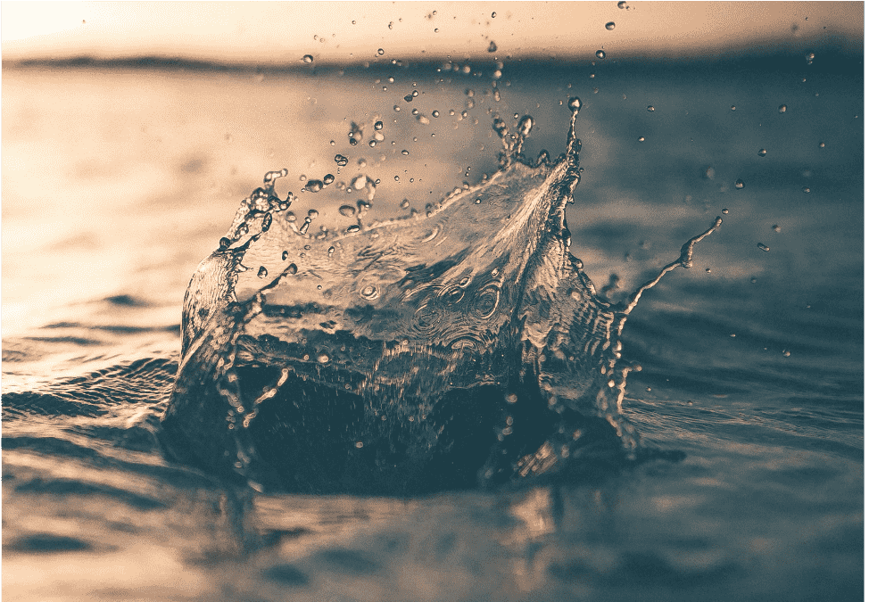 Water