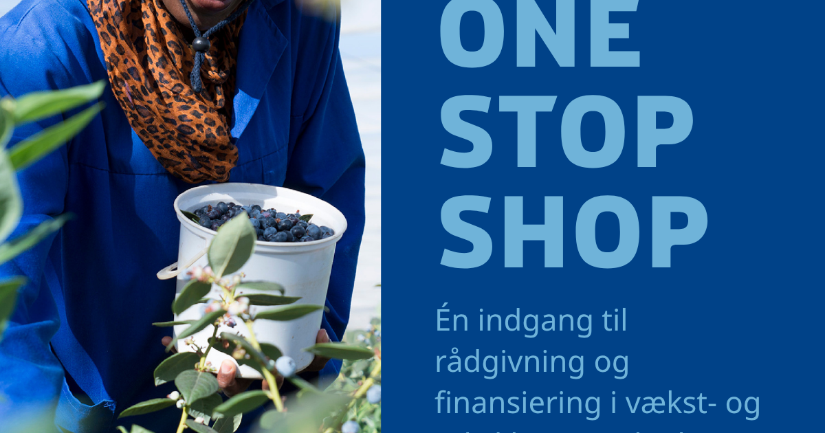 One Stop Shop for Financing Emerging & Developing Markets