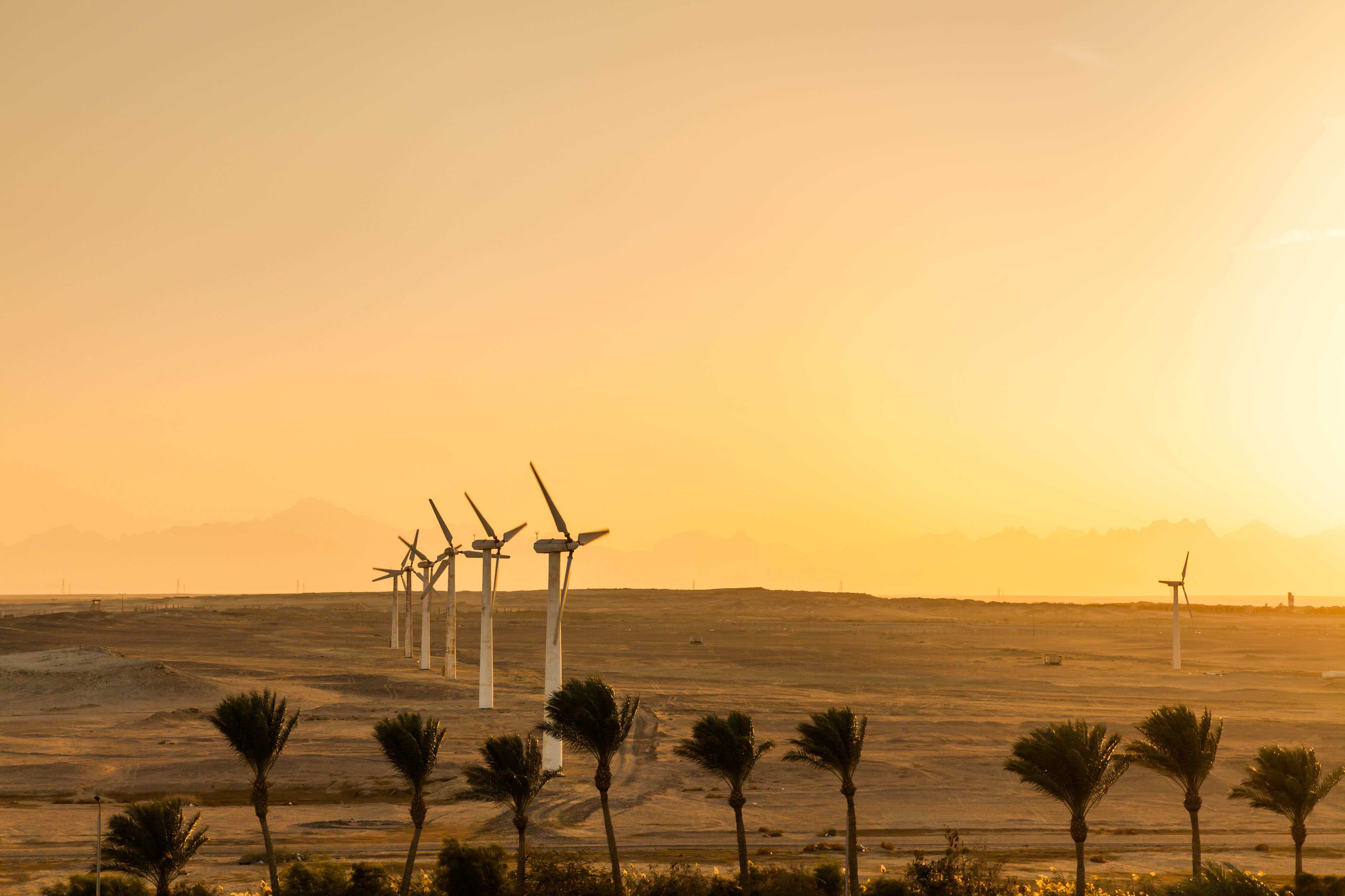 Wind turbines desert