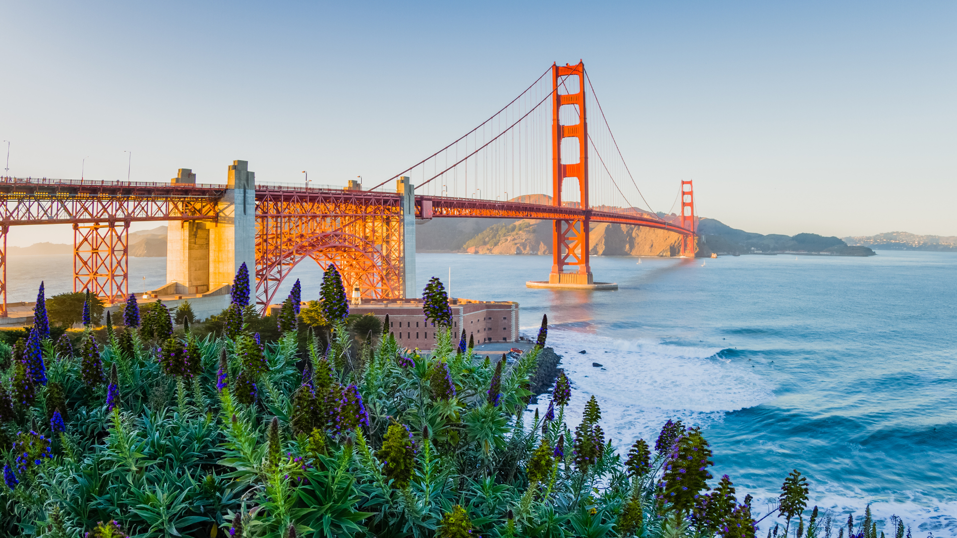 Silicon Valley is a global climate hub