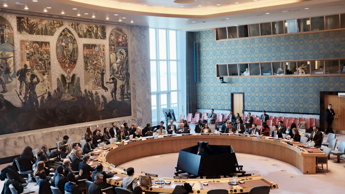Council Denmark Ministry of Foreign Affairs of Denmark