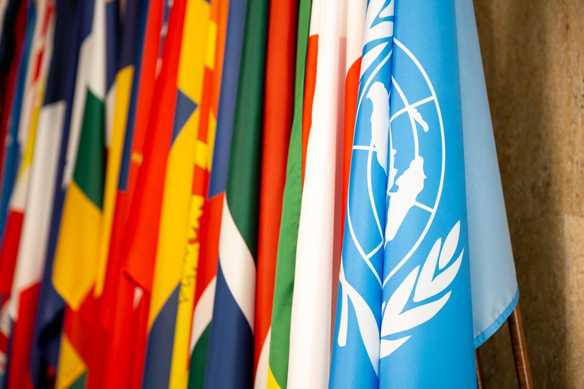 Billede til FN forsiden