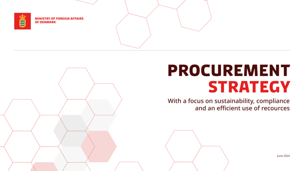 Procurement strategy (English version)